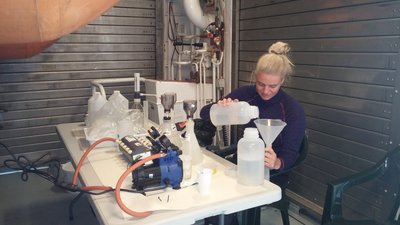 Forsker Ane Middelbo arbejder med indsamlede planktonprøver
