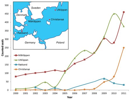 Gråsæl-lokaliteter og udvikling i antal