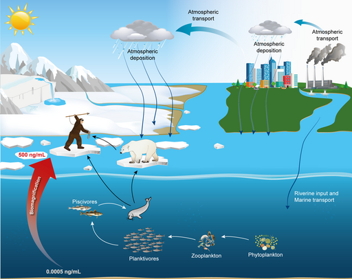 PFAS cycle